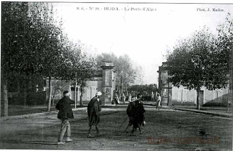 porte alger (15).jpg